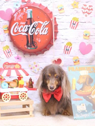 20230924ココアちゃん